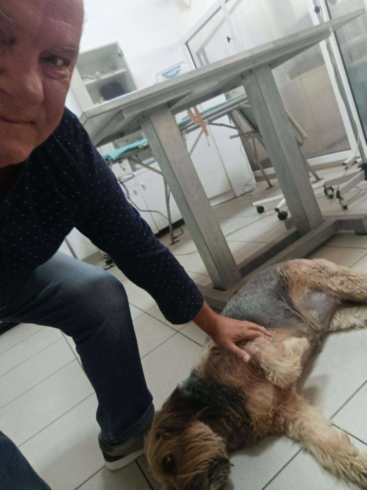 Dr Goran Stojanović, doktor veterinarske medicine i specijalista hirurgije, sa psom u ambulanti u Nišu